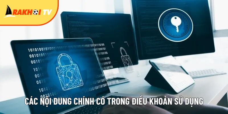 tong hop cac noi dung chinh co trong dieu khoan su dung